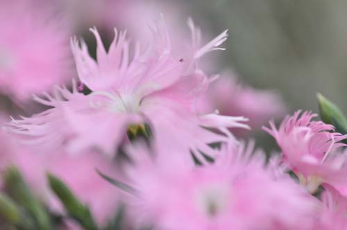 2013-05-24 010-e_500