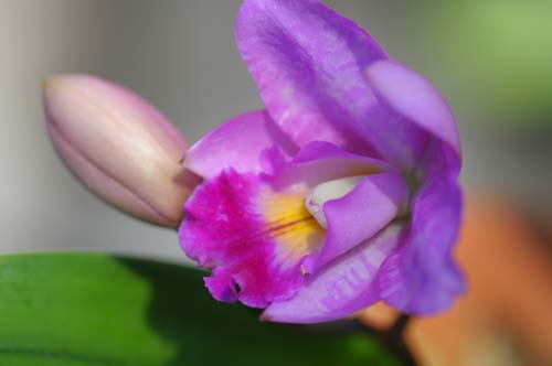 2013-07-07 033-y_500