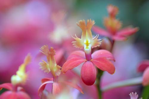 2012-01-03 021-b_500