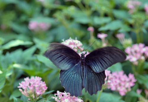 2012-09-12 049-y_500