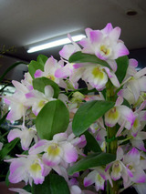 cc5e89a2.jpg