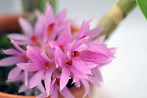 2013-01-15 013-b_500