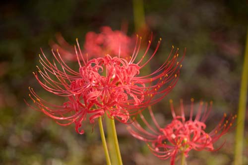 2013-09-25 079-b-500