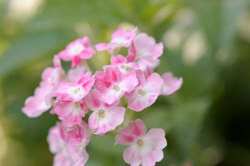 2013-08-09194 (17)-b-5