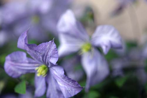 2013-04-23 037-b500
