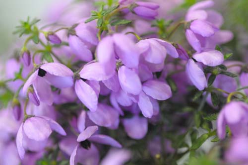 2013-02-08 131-t_500