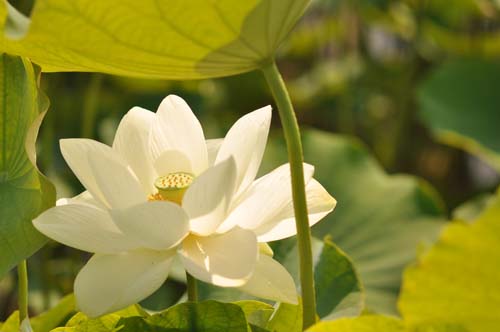 2012-07-10 114-w_500