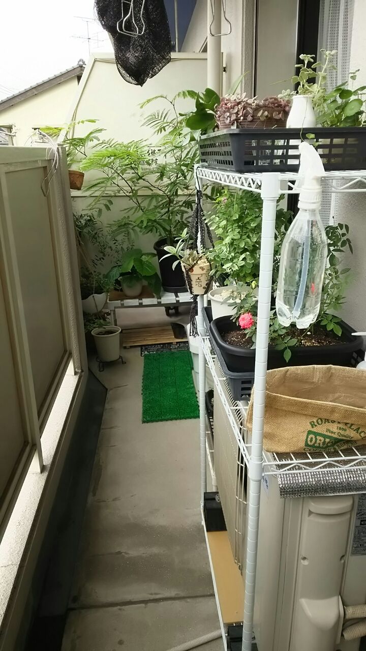 ベランダ全景 7月28日 とささやかな地震対策 小さなベランダのお話