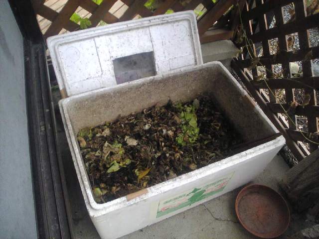 ミミズ堆肥の様子 ミミズ堆肥をつくっています