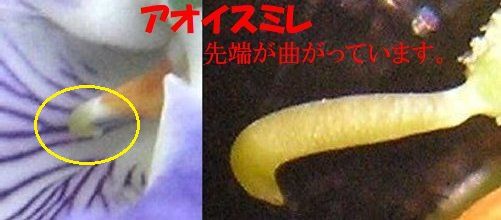 イメージ 14