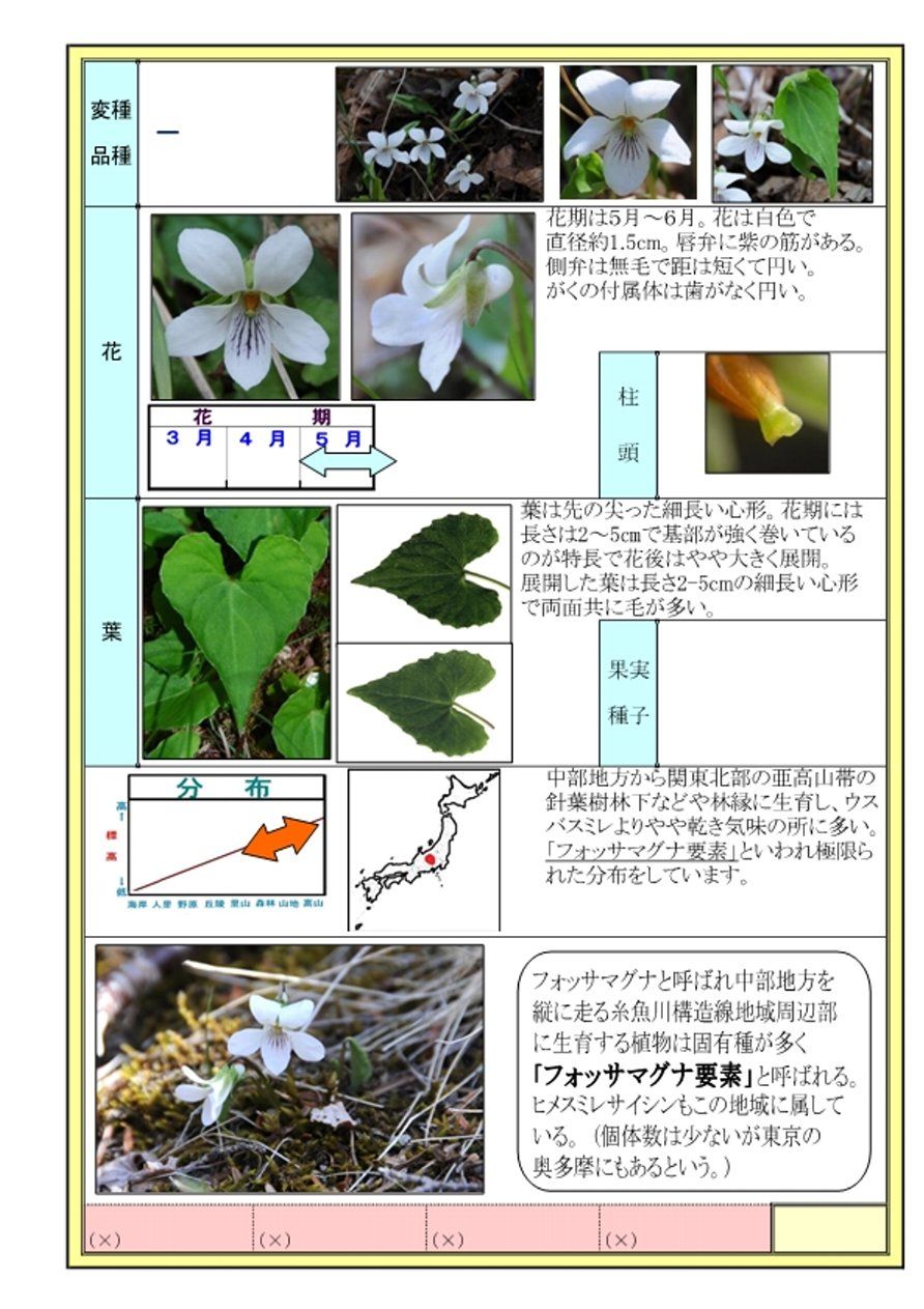 イメージ 2