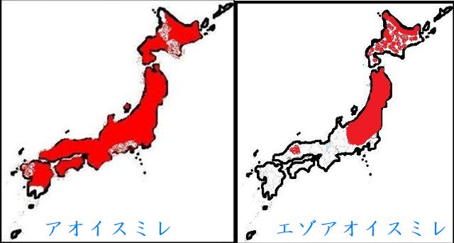 イメージ 15