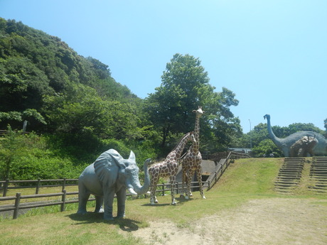 DSCN8422