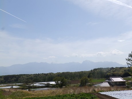 s-P50509490505