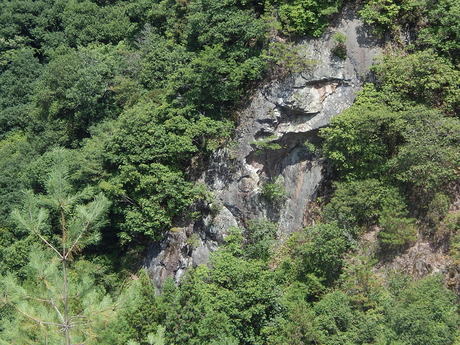 DSCN0604