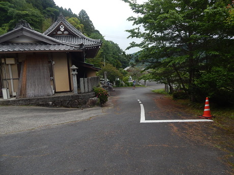 DSCN7877
