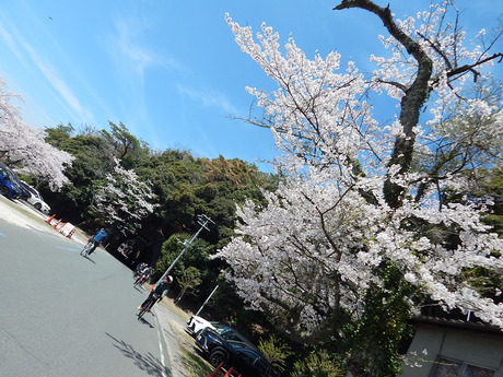 DSCN8881