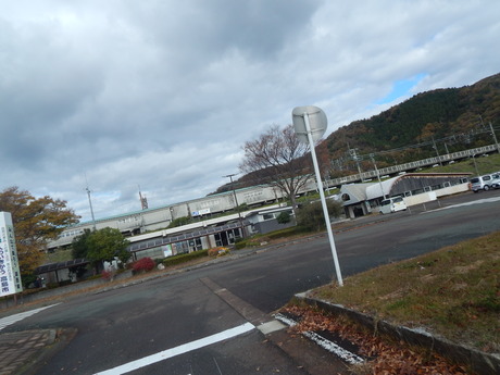 DSCN6588