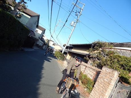 DSCN6121