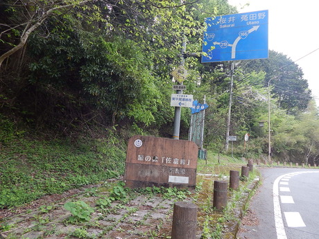 DSCN7704