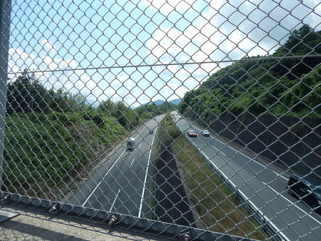 DSCN0895