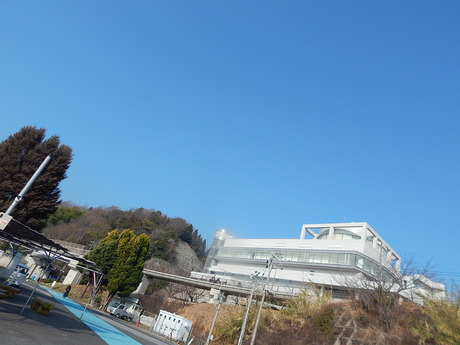 DSCN5053