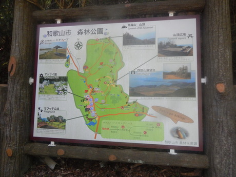 DSCN8387