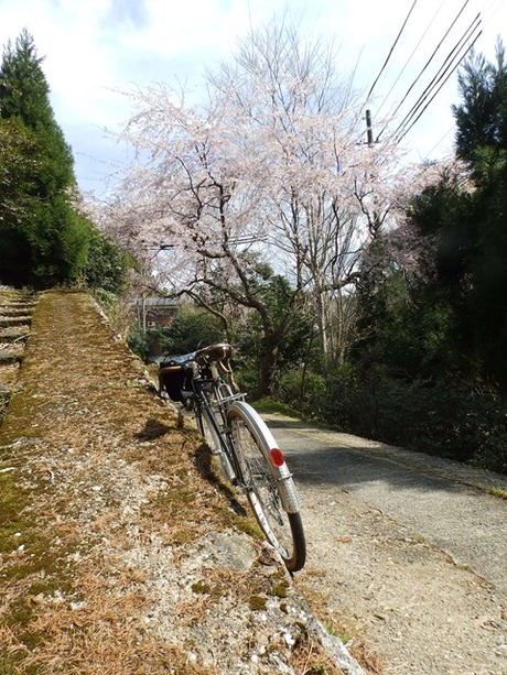 s-P4130359higashiyo