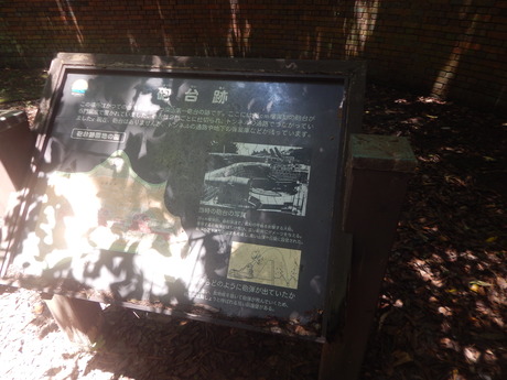 DSCN8440