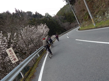 DSCN7973