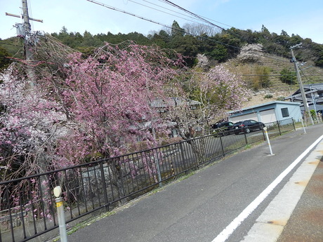 DSCN9005