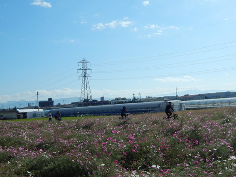 DSCN5839