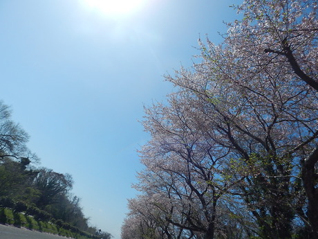DSCN6590