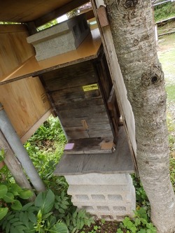 s-P6100275toei