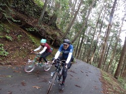 s-P6100231toei