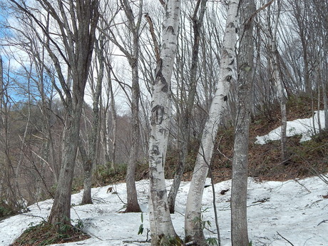 DSCN5875