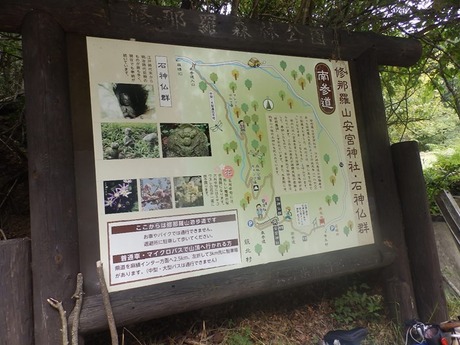 s-PA080221syunara