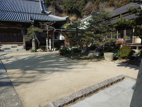 DSCN3382