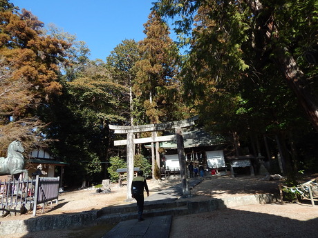 DSCN1294