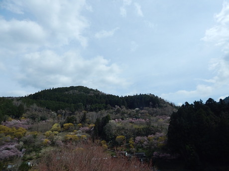 DSCN7805