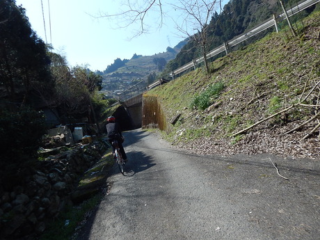 DSCN7206