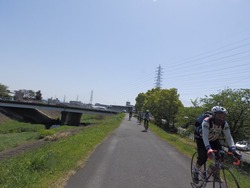 s-P4220195fushimi