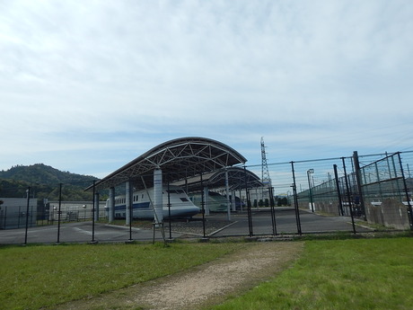 DSCN6785
