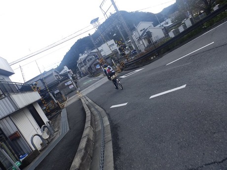 s-PA210071oosako