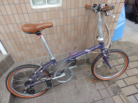 s-P3170001dahon