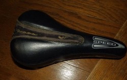 s-P4150595dahon