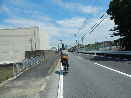 DSCN0338