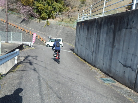 DSCN4303