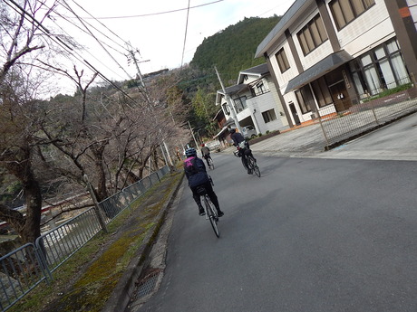 DSCN7946