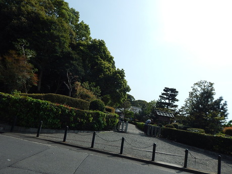 DSCN9642
